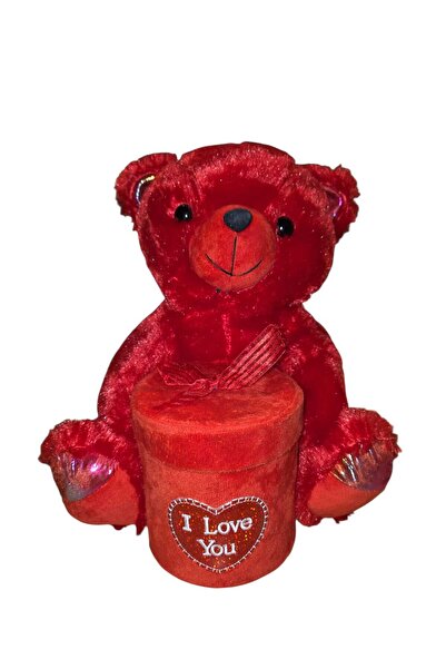 NoNameStore7 Urs de plus cu cutie cadou, 35 cm