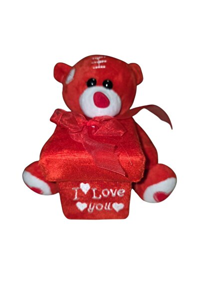 NoNameStore7 Urs de plus cu cutie cadou, 15 cm