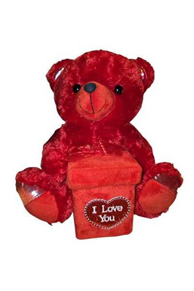 NoNameStore7 Urs de plus cu cutie cadou, 35 cm