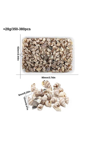 Choice7 عبوة من 10 قطع، علبة واحدة من أصداف البحر الحلزونية الصغيرة، أصداف ال...