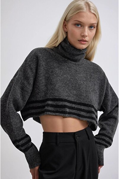 Lijuri Striped and High-Collar Knit Sweater 1416