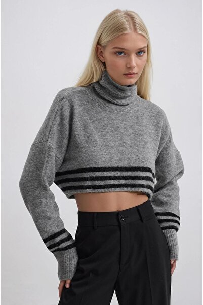 Lijuri Striped and High-Collar Knit Sweater 1416