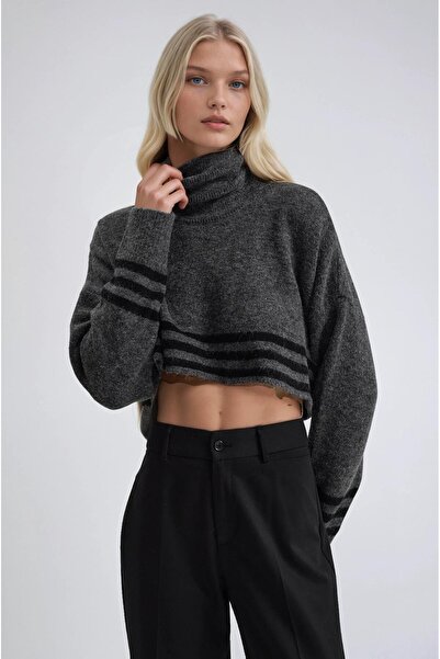 Lijuri Striped and High-Collar Knit Sweater 1416