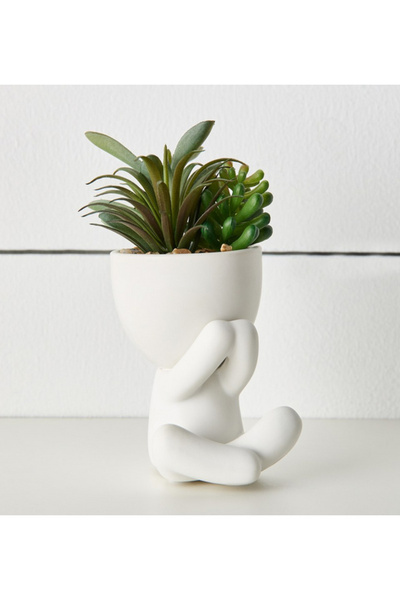 Generic Perch Mini Succulent Plant in Ceramic Pot - 15 cm