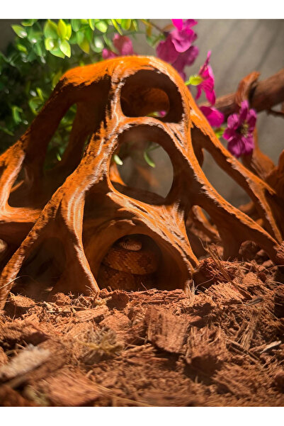 barsdepo AKVARYUM KÖKLÜ SAKLANMA AĞACI (3D PRİNTİNG)