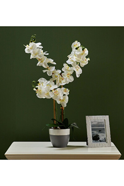 Generic Orchid Flower on Ceramic Pot - 74 cms