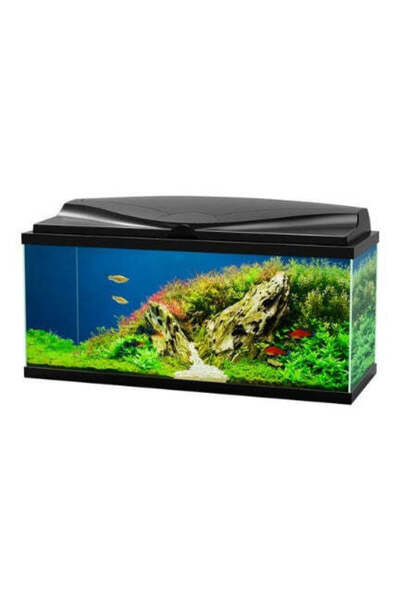 Ciano Aqua 80 Aquarium with LED Light 80x30x41.5cm