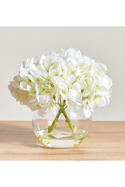 Generic Ortensia White Hydrangea Flower in Pot - 16 cm