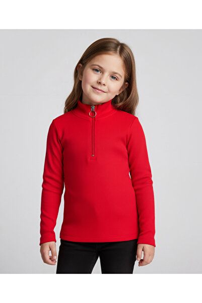 Pine kids Cotton Lycra Knit Full Sleeves High Neck Top - Red