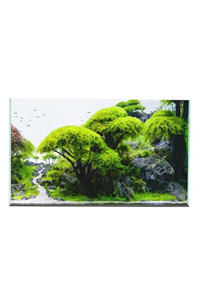EXOTIC AQUARIUMS Plant Tank Aquarium - 80X40X40CM