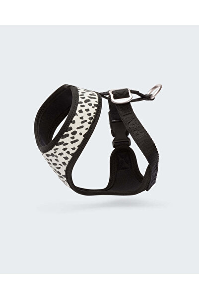 PAIKKA حزام شبكي 2.0 للكلاب - مقاس XXS