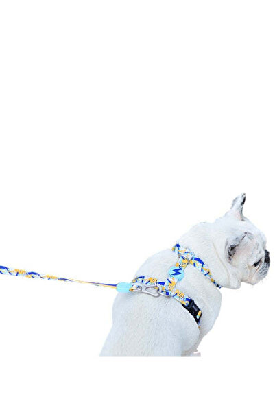 DASHI حزام ظهر للكلاب من نيبولا - أزرق/صغير