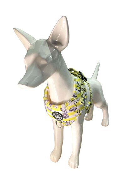 Bud & Billy حزام صدر على شكل فلامنجو - متوسط