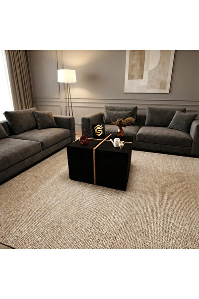 Stylish Home Brown and black coffee table - CT03