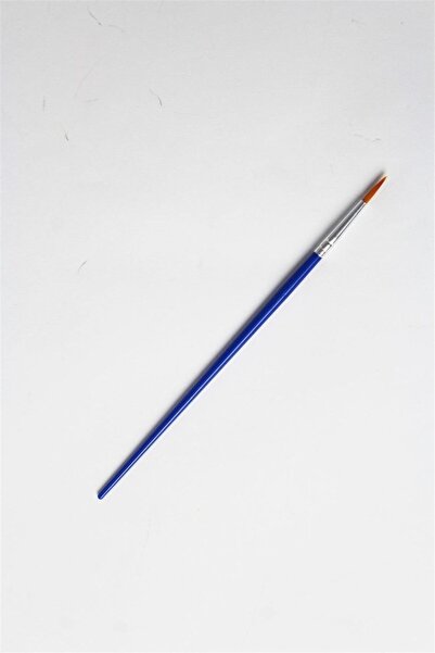 Generic Brand فرشاة طلاء وينجارد WG03 قياسية، مقبض أزرق، 165 ملم.