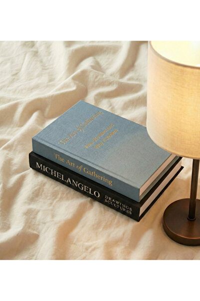 BGV HOME Decorative Fabric Book Box Set of 2 (Michelangelo the Art)