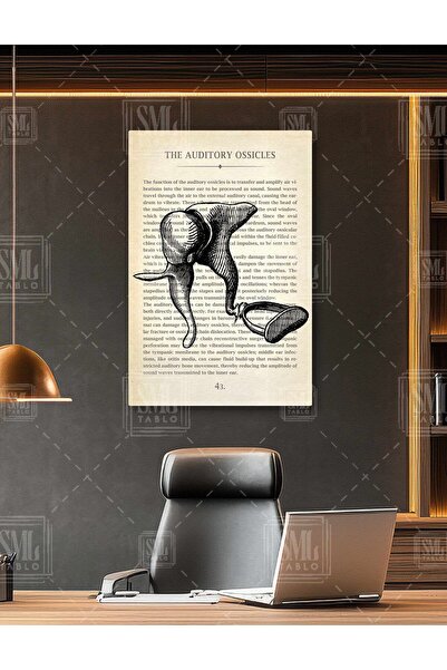 SML TABLO KBB Kliniği Kulak Burun Boğaz Örs ve Üzengi İşitme Dikey Kanvas Tablo