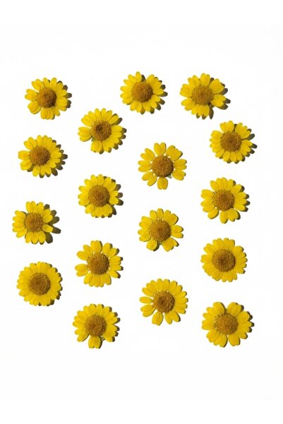 stonechem قلادة من الراتنج الإيبوكسي بالزهرة الصفراء المجففة المضغوطة لصنع ال...