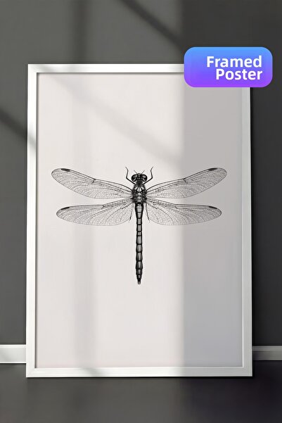 Zestia Ζωγραφική τοίχου με λευκό πλαίσιο, λεπτομερής απεικόνιση φτερού λιβελλ...