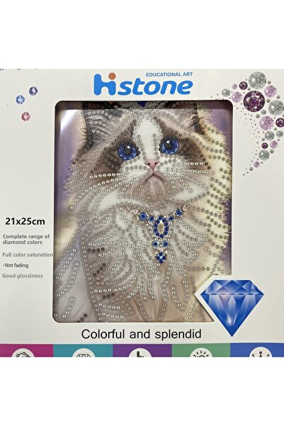 EleganTShoP 5D Beads Adhesive Beads Tapiserie Mozaic Tablo Pano 21*25 cm Pisi...