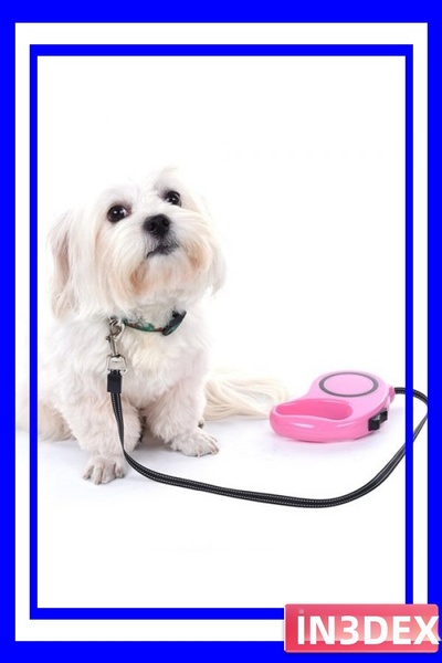 İN3DEX 3 Meter Extendable Automatic Dog Walking Leash