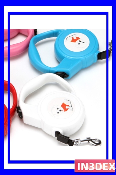 İN3DEX حزام مشي للكلاب مع قفل تلقائي بطول 2.5 متر