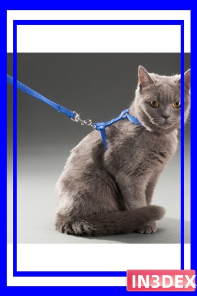 İN3DEX طوق قابل للتعديل للقطط من نوع الرقبة والصدر