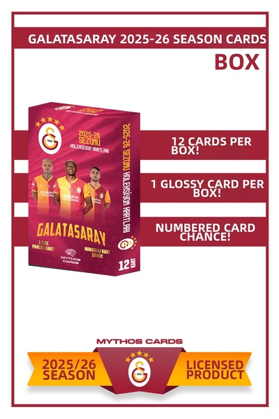 Galatasaray بطاقات موسم 2025-26 - صندوق