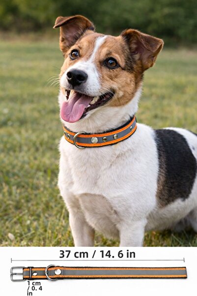 NORDVIA E-COMMERCE Reflective Adjustable Dog Collar – 37 cm / 1 cm