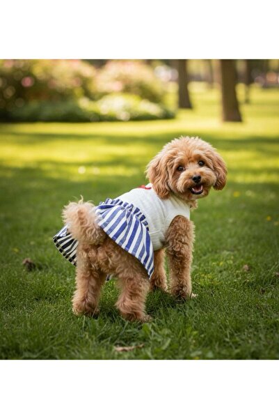 GedyCo Lady Kot Etekli Küçük Irk Köpek Elbisesi