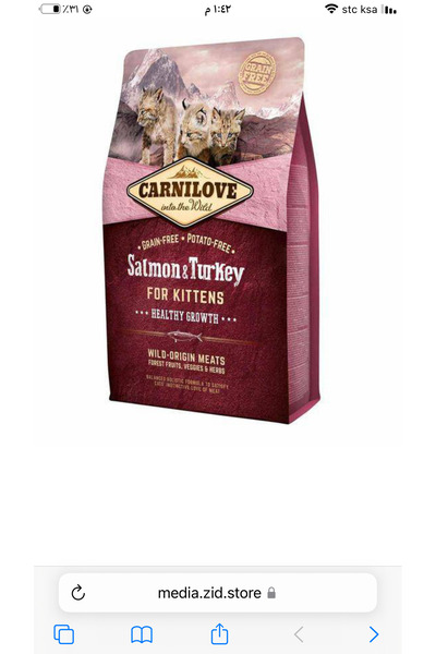 KK كارنيلوف كيتن 2ك