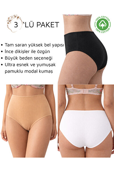 UN REAL 3-Piece High Waist Plus Size Bato Panties – Modal Cotton Blend, Stret...