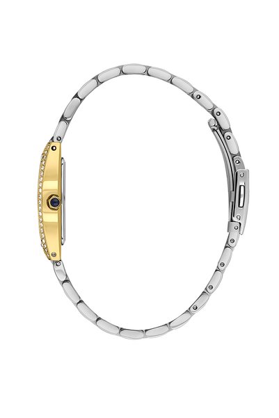 Daniel Klein Premium Silver and Gold Stainless Steel Watch for Women DK.1.14106-3