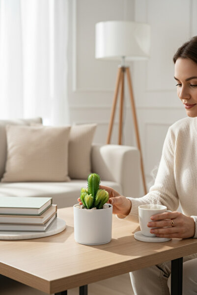 YAPAY ÇİÇEKÇİNİZ صبار صناعي عصاري في وعاء أبيض اللون