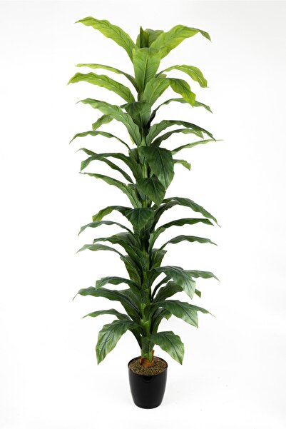 YAPAY ÇİÇEKÇİNİZ Siyah Saksıda Çim Detaylı Büyük Yapraklı Yapay Difenbahya Ağ...