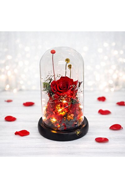 velve Buchet de trandafiri criogenat in cupola de sticla cu LED, rosu, 21X12,