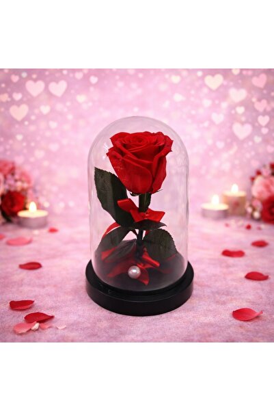 velve Trandafir criogenat in cupola de plastic, pe pat de petale, rosu, Rosu