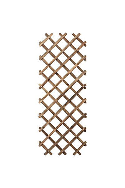 IKEA Askholmen 72x190 Cm Masif Akasya Bahçe Çiti Paravan Sarmaşıklık Bitki Çiçek