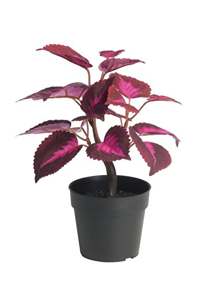 IKEA نبات زهرة القطيفة الاصطناعية أزرق بلون الكوبالت ılı، نبات زخرفي للزينة ب...