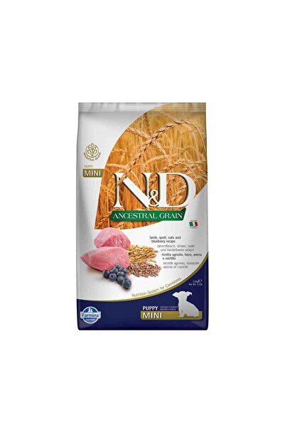 N&D Düşük Tahıllı Kuzu Etli Yaban Mersinli Küçük Irk Yavru Köpek Maması 2,5 kg
