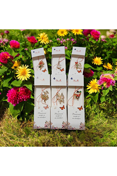 Vision XXI Set 6 Martisoare Metal Clasice Tip Brosa, Diverse, In Cutie Carton