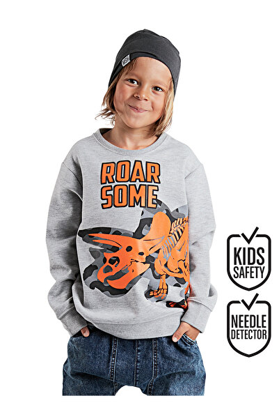 Denokids Roar Boy Gray Sweatshirt