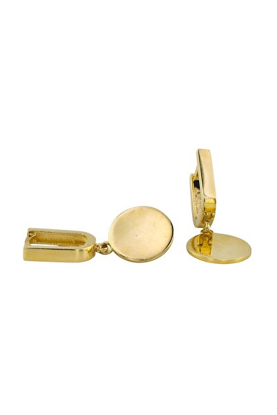 Altınkaynak 14 Ayar Altın Tasarım Küpe  -  0188097