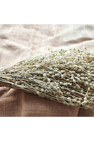 Balbis Dağ Çayı - 1 Bağ