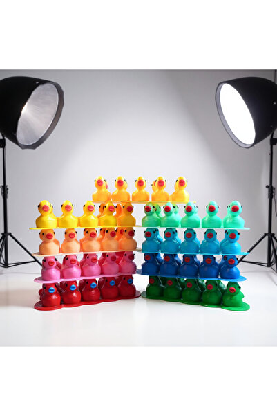 Mescolare Rengarenk Mini Ördek Seti Araba Torpido Teraryum Akvaryum Süsü 5 Adet