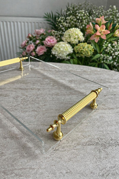 PLEKSİ ORGANİZER PLEKSİ GOLD KULPLU MİNİ TEPSİ .22X14 cm