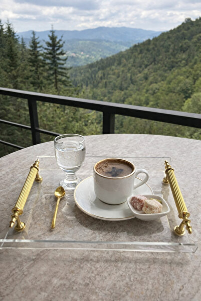 PLEKSİ ORGANİZER PLEKSİ GOLD KULPLU MİNİ TEPSİ