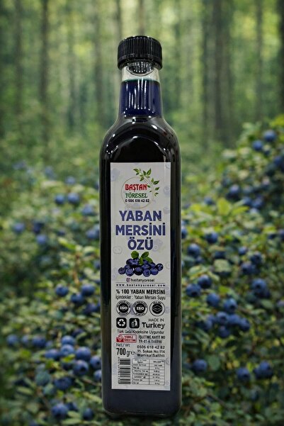 Baştan Yöresel 700gram Yaban Mersini Özü
