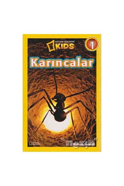 Beta Kids Yayınları Karıncalar