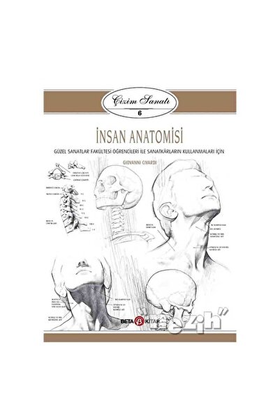 Generic Brand Human Anatomy - Drawing Art 6